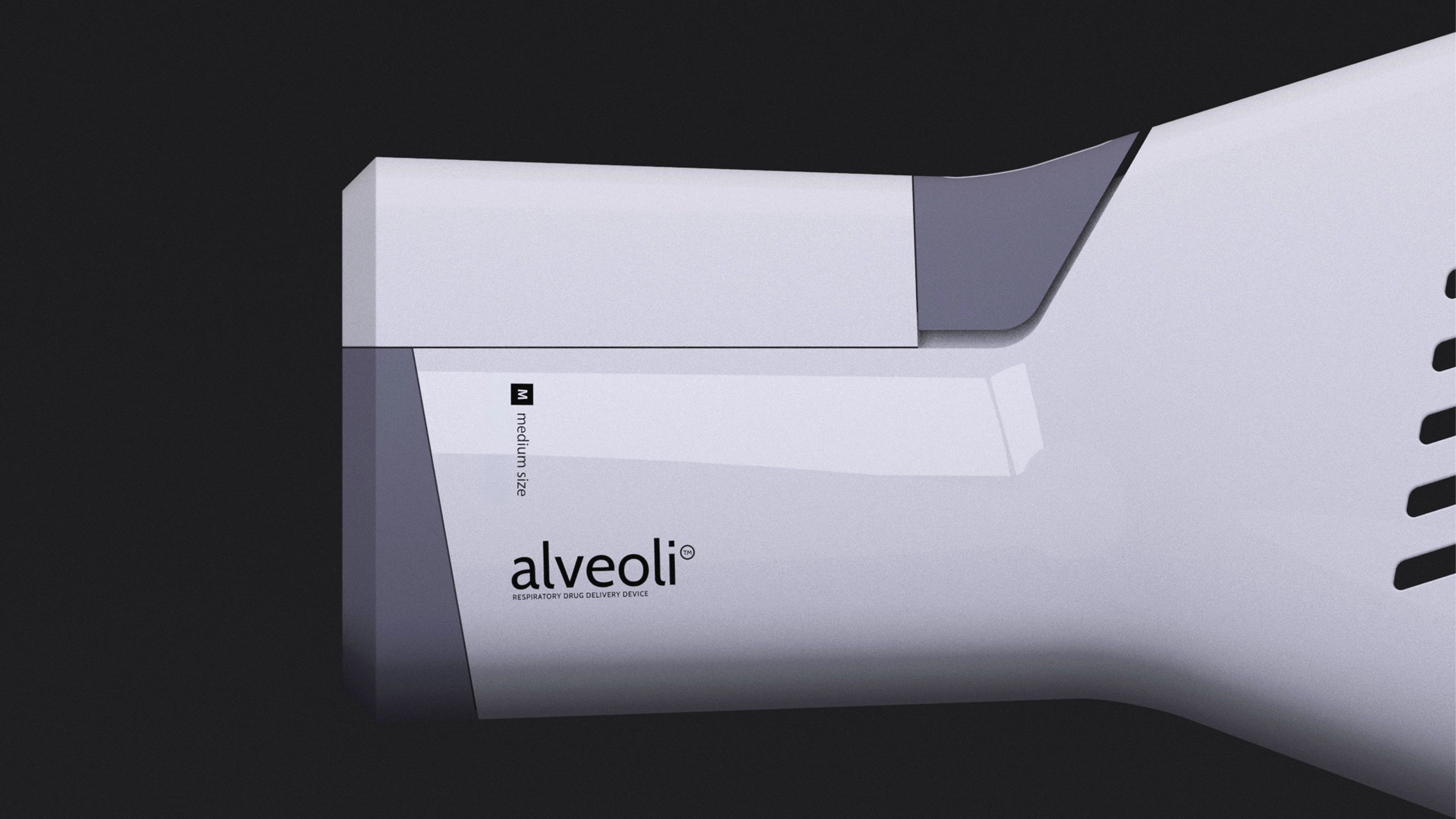 Alveoli — image 7