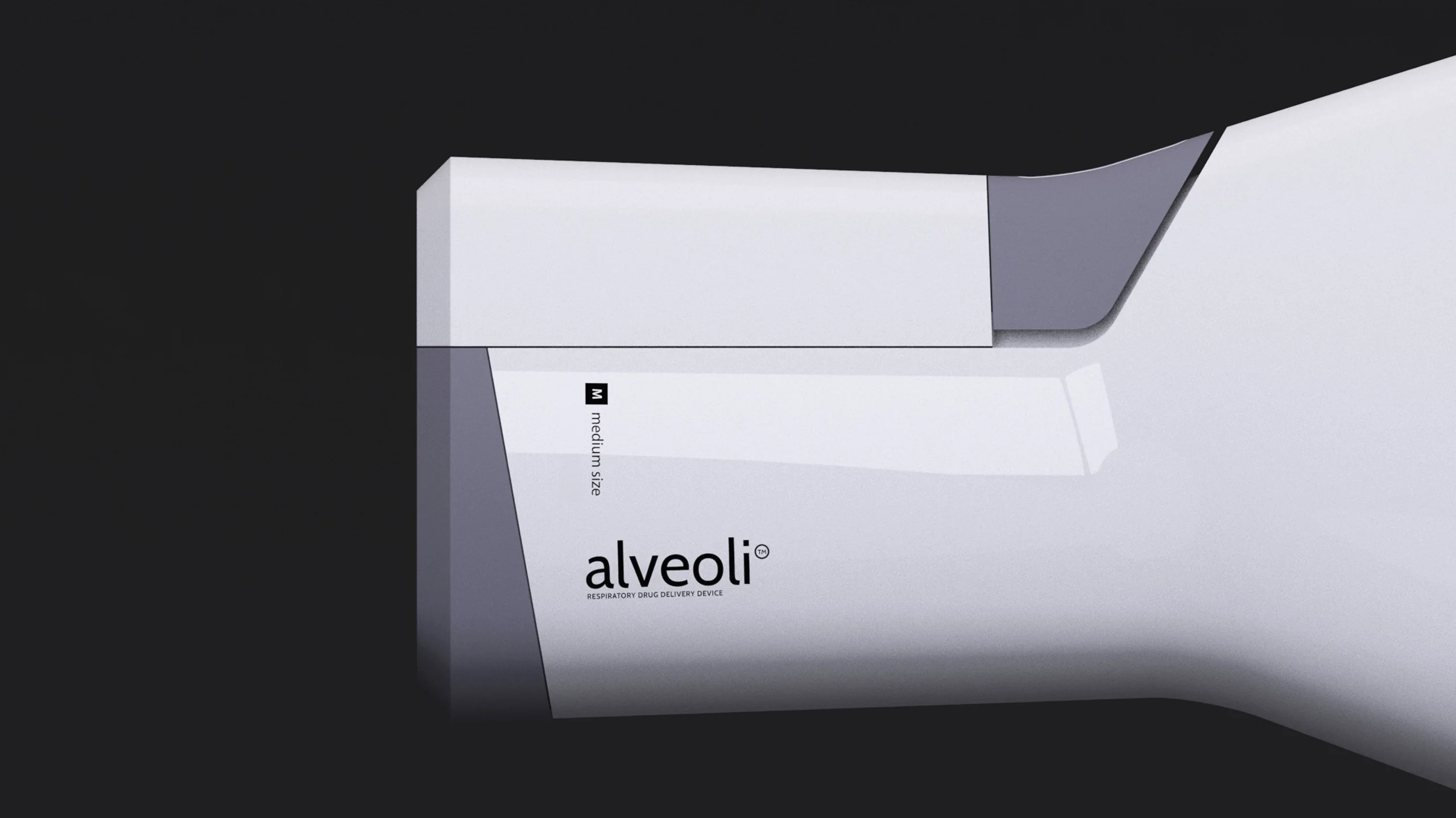Alveoli — image 7